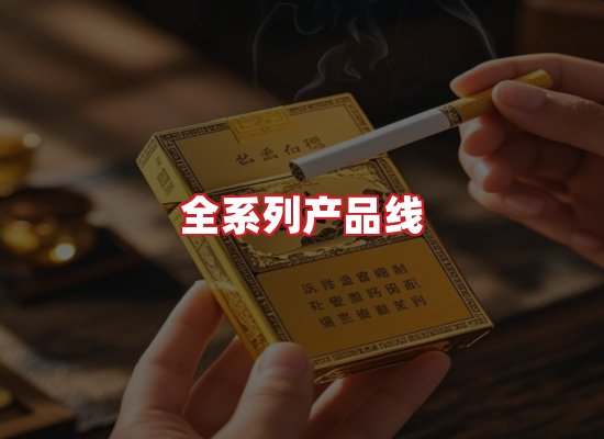 专业团队